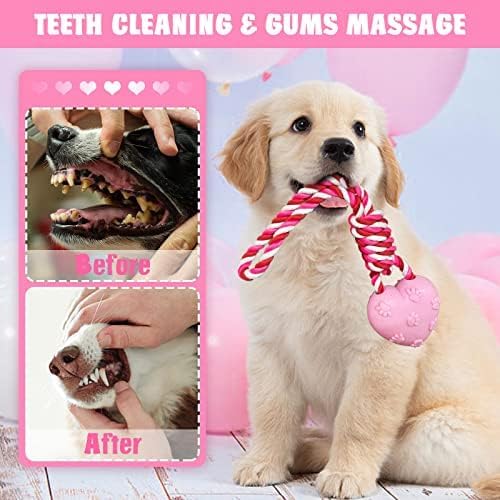 Valentine's Day 2 Pack Rope Toys for Dog