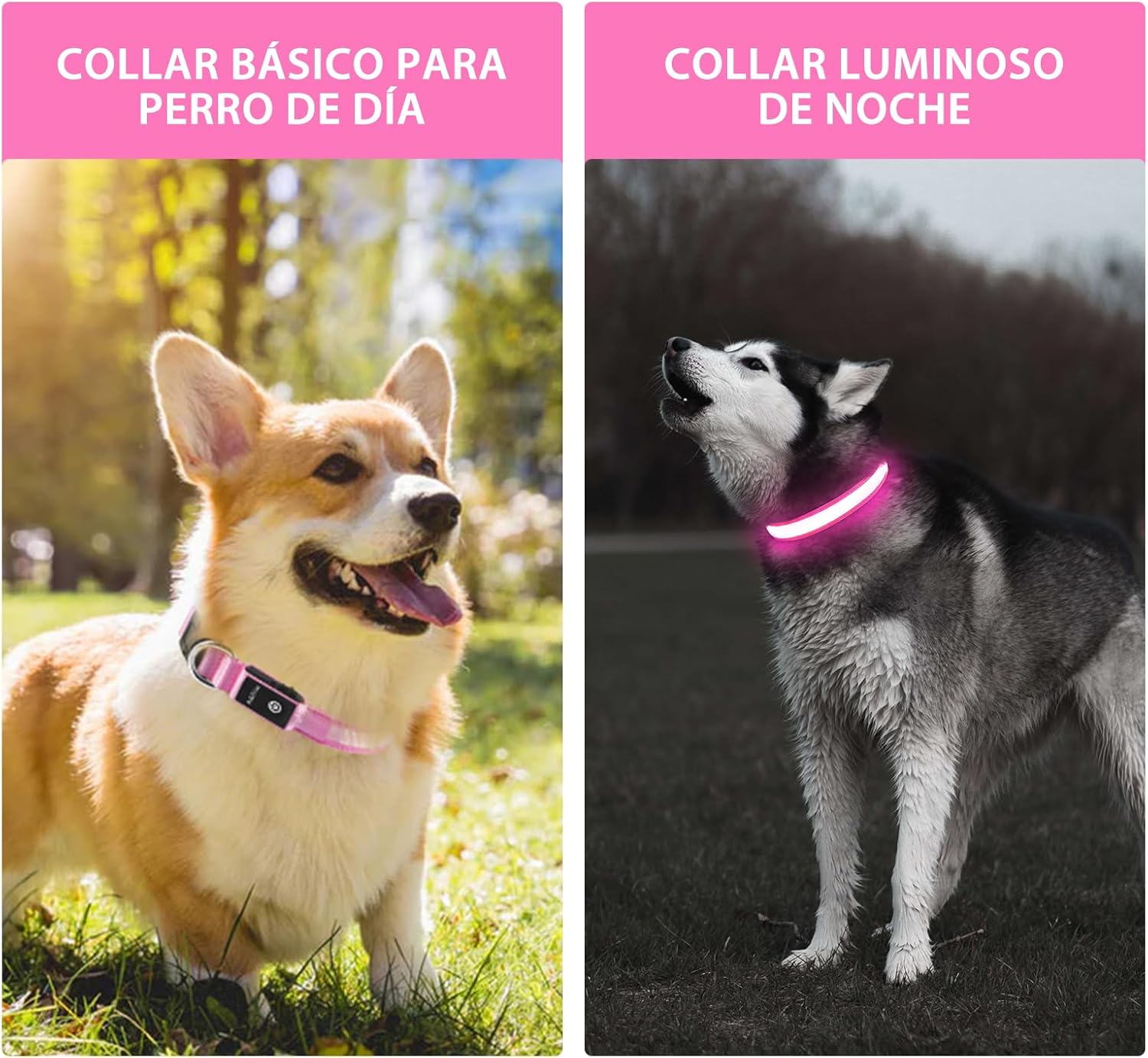 Light up Dog Collar for Night Walking - LED Dog Collar Light Rechargeable Color Changing, Glow in the Dark Dog Collars Waterproof Glowing Dog Collars for Large Small Medium Dogs