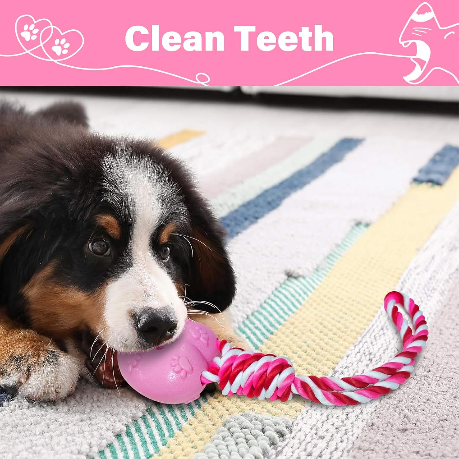 Valentine's Day 2 Pack Rope Toys for Dog