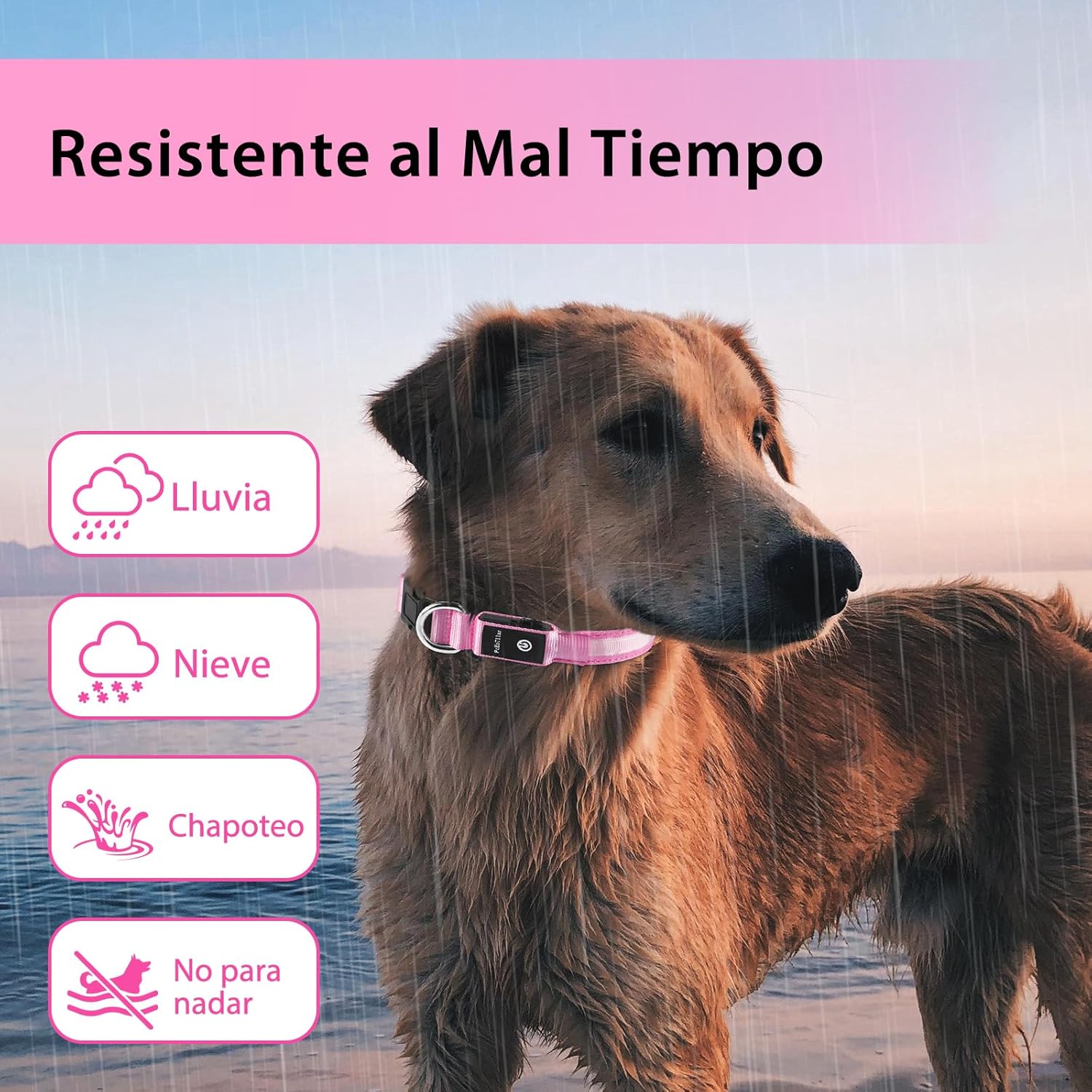 Light up Dog Collar for Night Walking - LED Dog Collar Light Rechargeable Color Changing, Glow in the Dark Dog Collars Waterproof Glowing Dog Collars for Large Small Medium Dogs