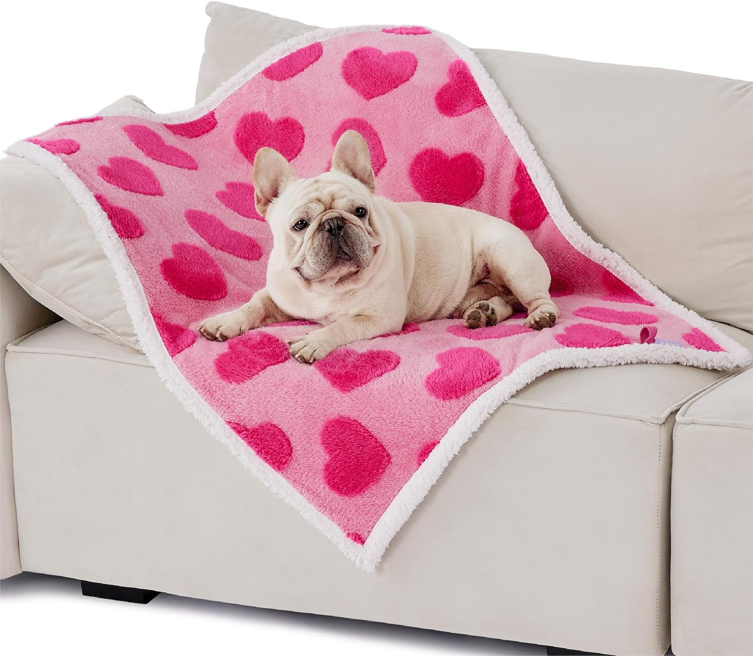 Waterproof Pet Blanket With Pink Hearts Pattern